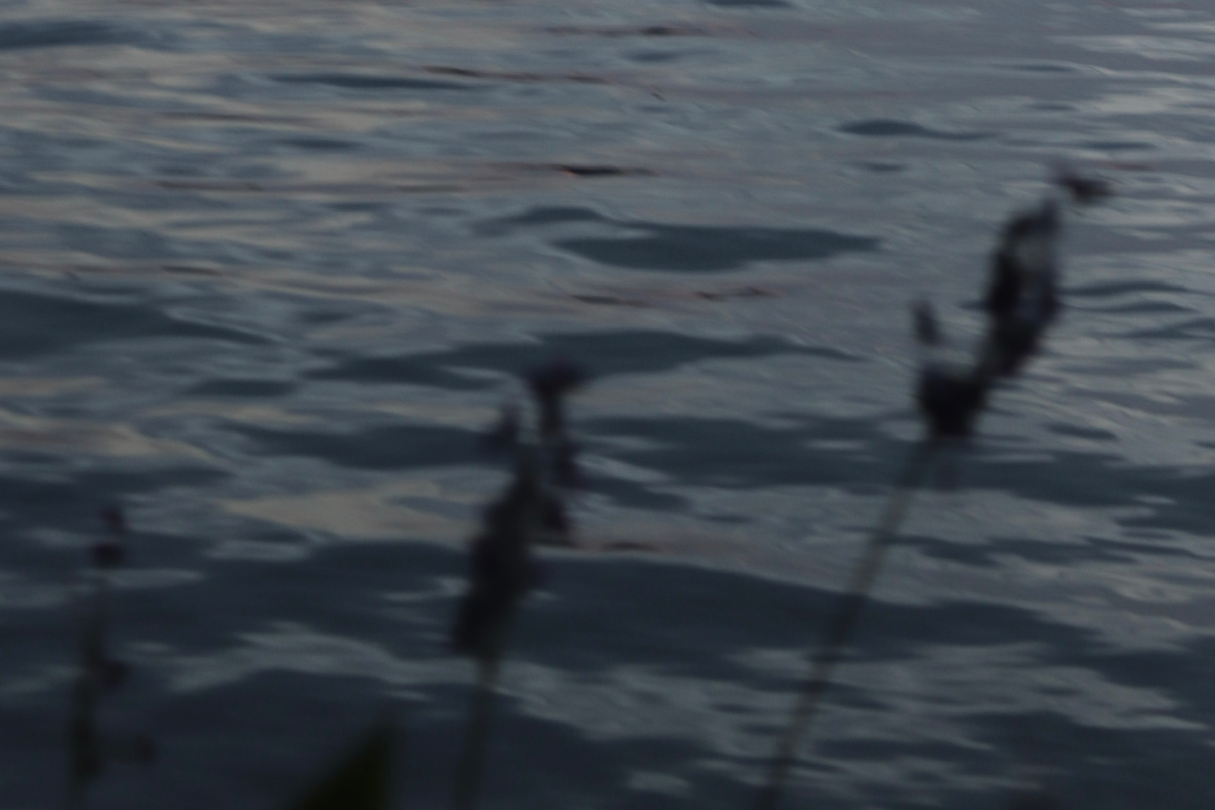 图像处理复习与考试总结